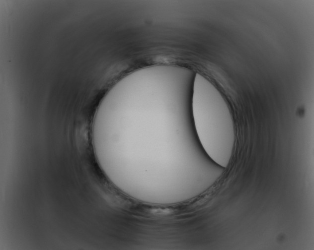 X0000102480363200808081038