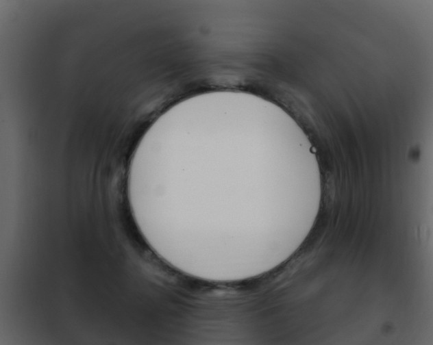 X0000102480364200808081038