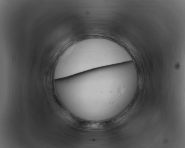 X0000102480365200808081038