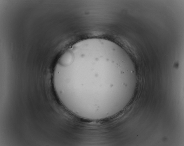 X0000102480366200808081038