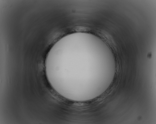 X0000102480367200808081038