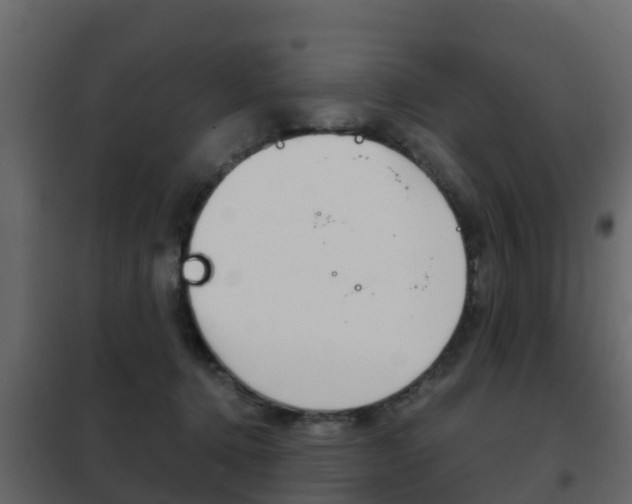 X0000102480368200808081038