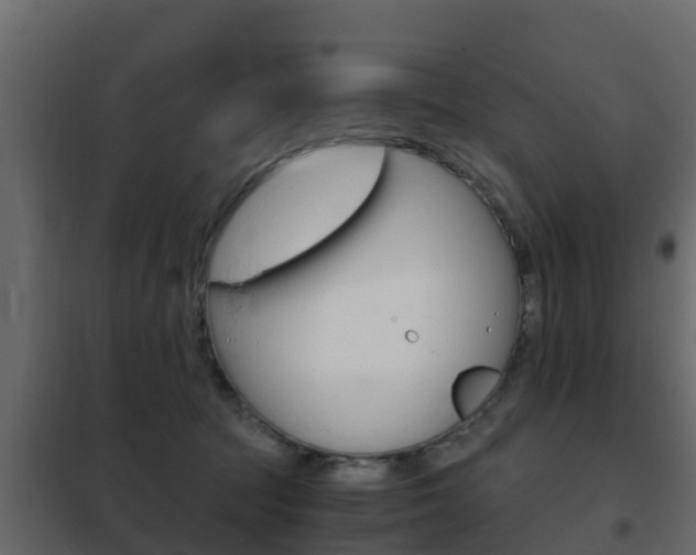 X0000102480369200808081038
