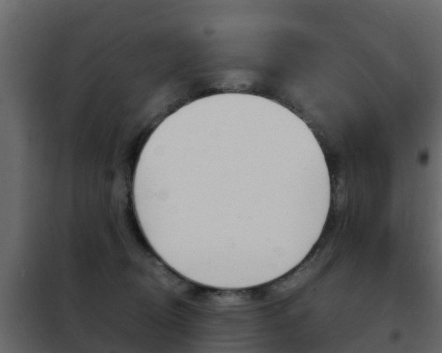 X0000102480370200808081038