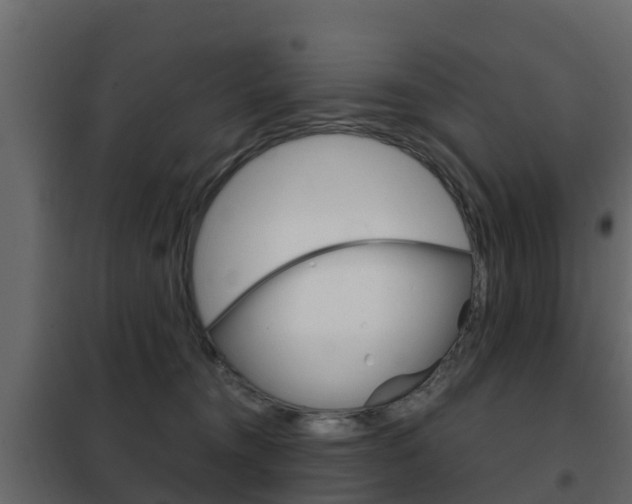 X0000102480372200808081038