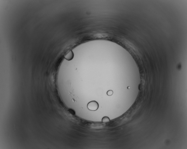 X0000102480373200808081038