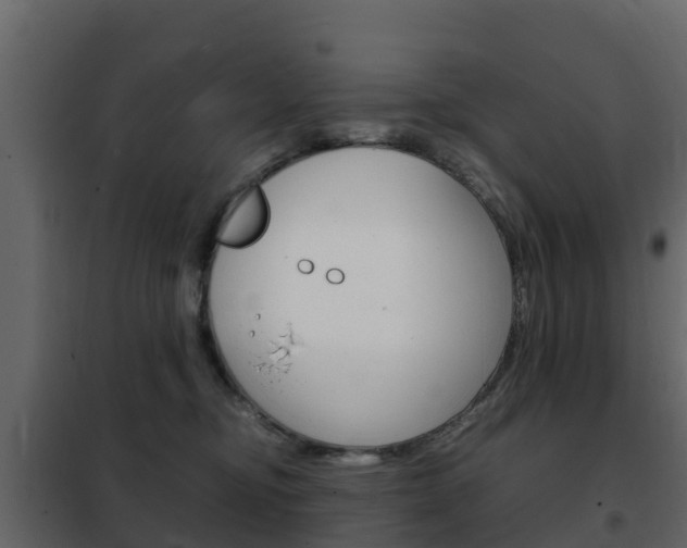 X0000102480374200808081038
