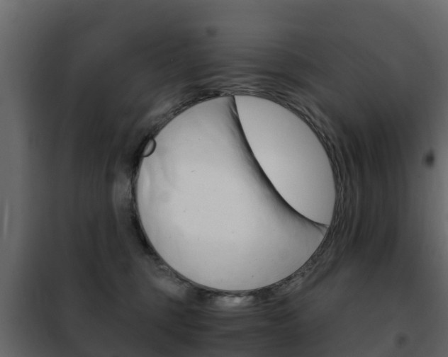 X0000102480375200808081038
