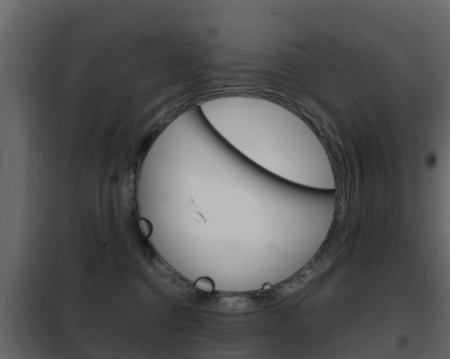 X0000102480376200808081038