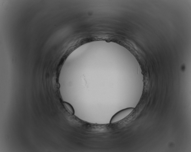 X0000102480377200808081038