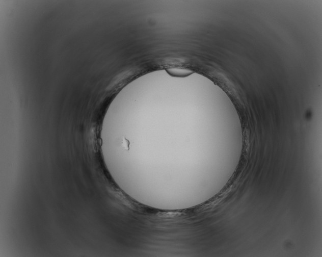 X0000102480378200808081038