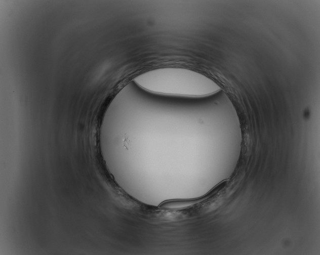 X0000102480379200808081038