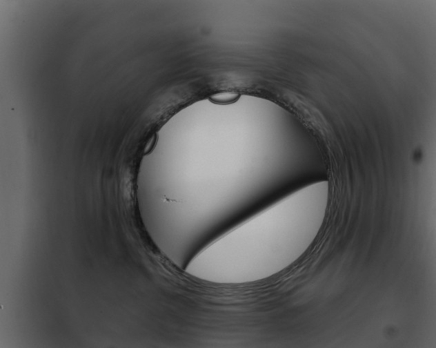 X0000102480380200808081038
