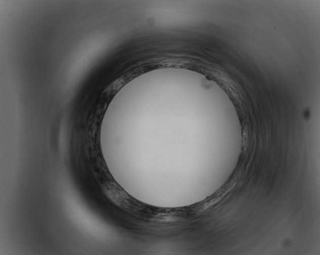 X0000102480381200808081038