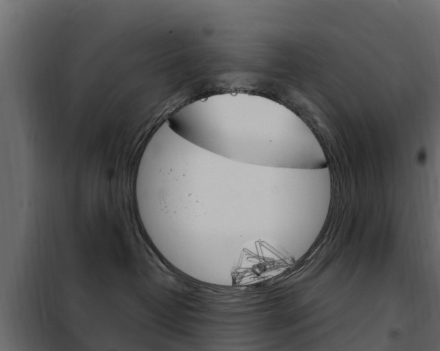 X0000102480382200808081038