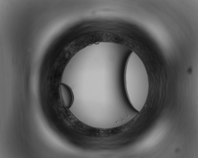 X0000102480383200808081038