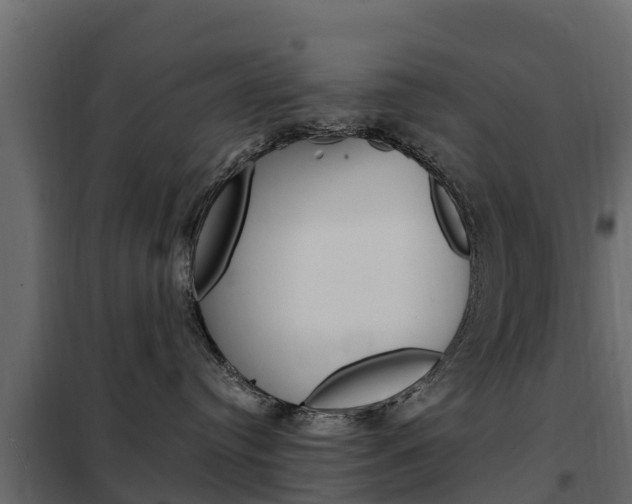 X0000102480384200808081038