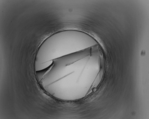 X0000102480385200808081037