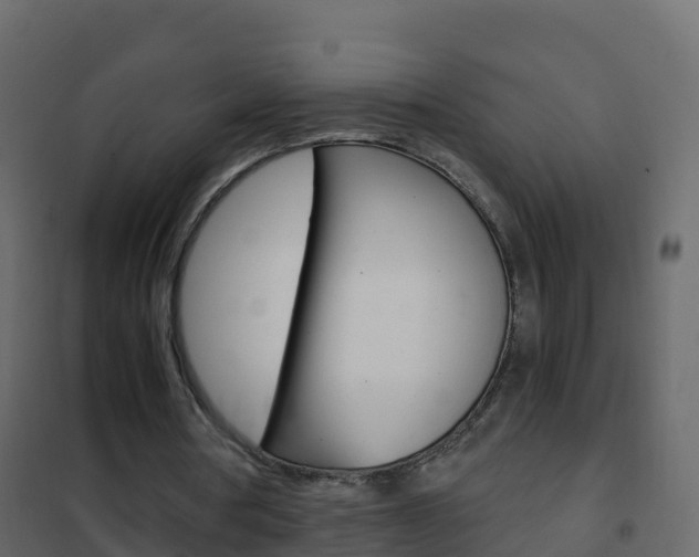 X0000102480386200808081037