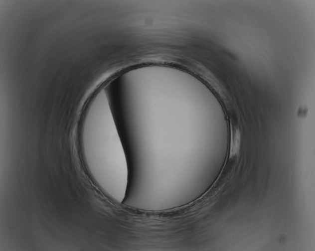 X0000102480387200808081037