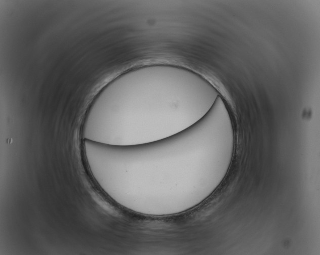 X0000102480389200808081037