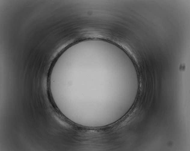 X0000102480390200808081037