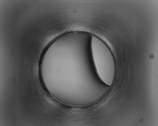 X0000102480391200808081037