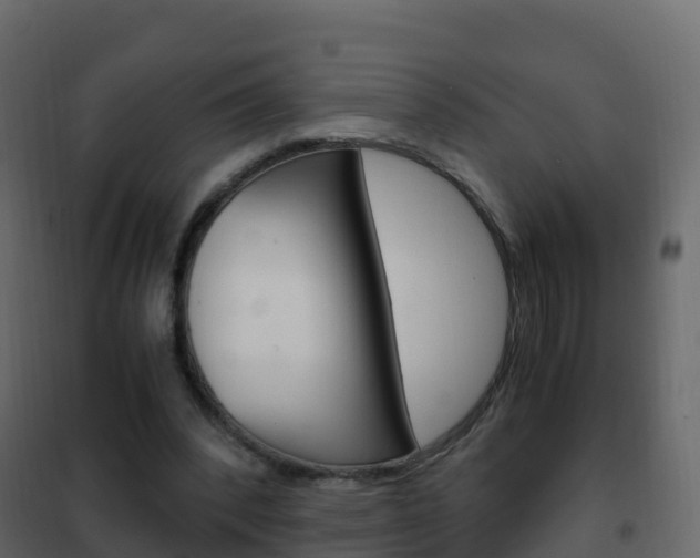 X0000102480392200808081037