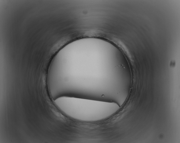 X0000102480393200808081037