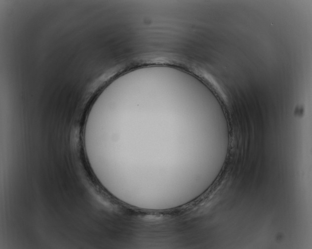 X0000102480394200808081037