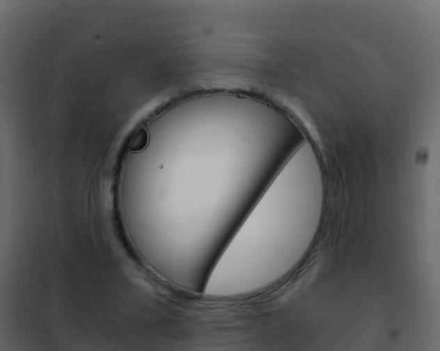 X0000102480395200808081037
