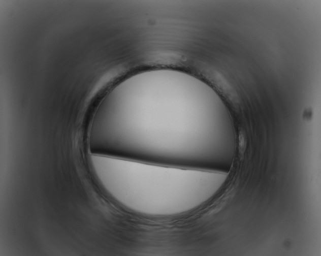 X0000102480396200808081037