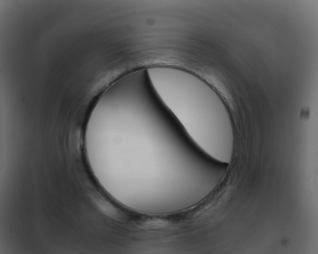X0000102480397200808081037