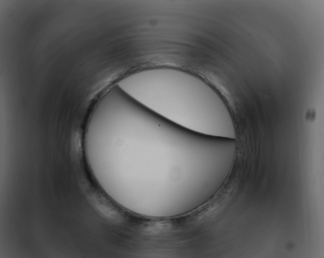 X0000102480398200808081037