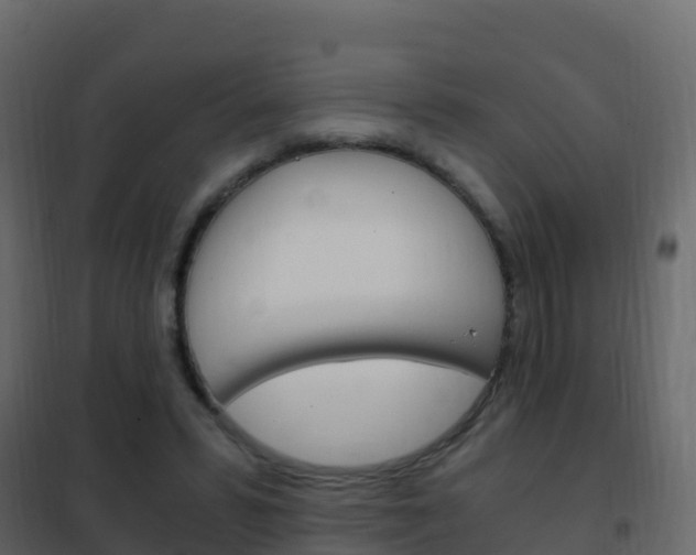 X0000102480399200808081037