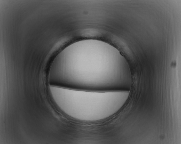 X0000102480400200808081037