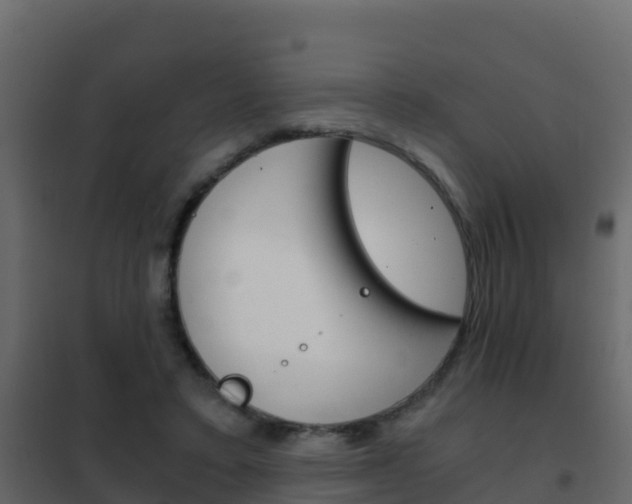 X0000102480403200808081037