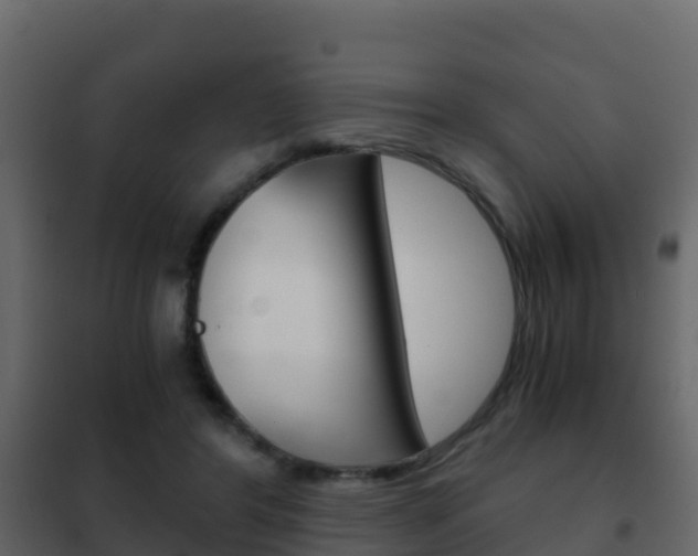 X0000102480404200808081037