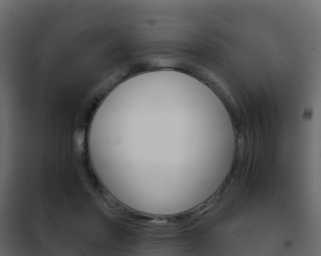 X0000102480406200808081037