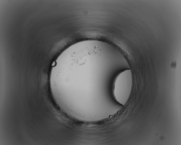 X0000102480407200808081037