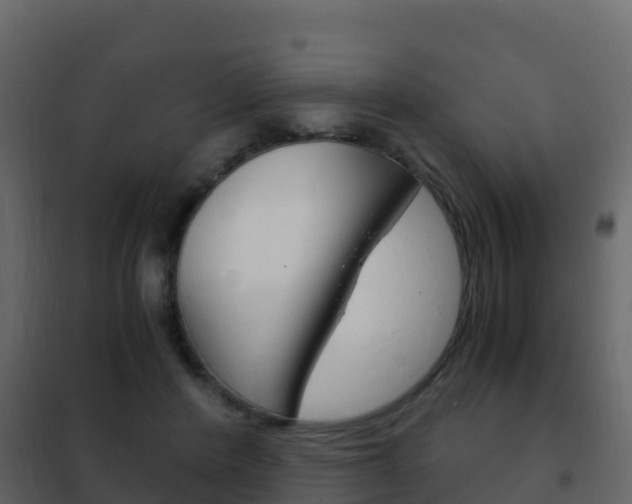 X0000102480408200808081037