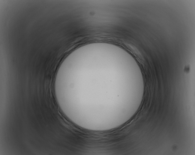 X0000102480409200808081037