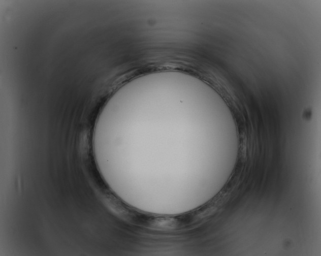 X0000102480410200808081037
