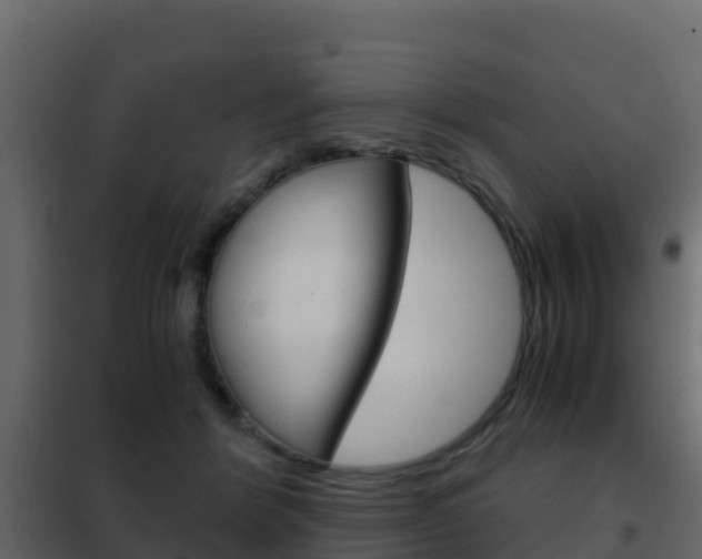X0000102480412200808081037