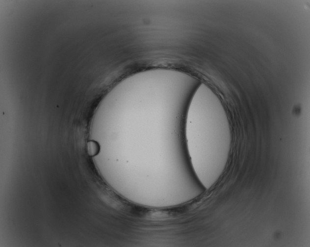 X0000102480413200808081037