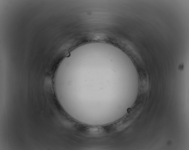 X0000102480415200808081037