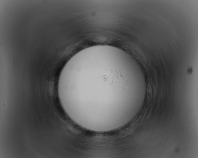 X0000102480416200808081037