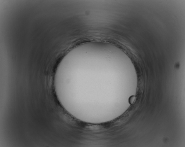 X0000102480417200808081037