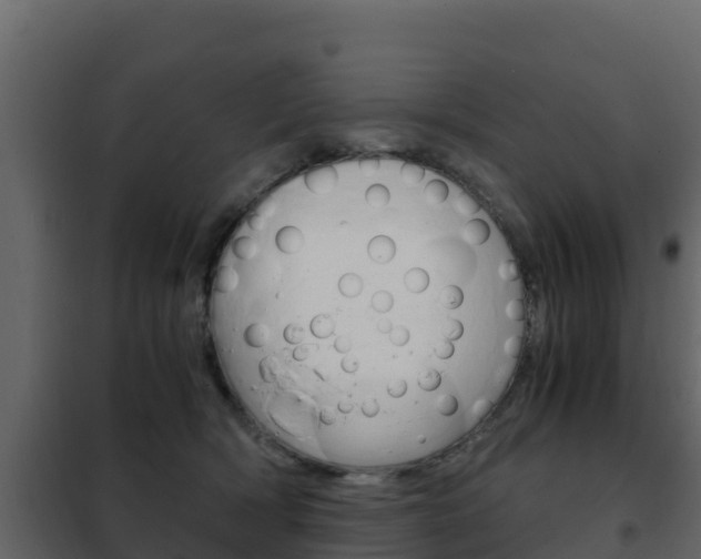 X0000102480418200808081037