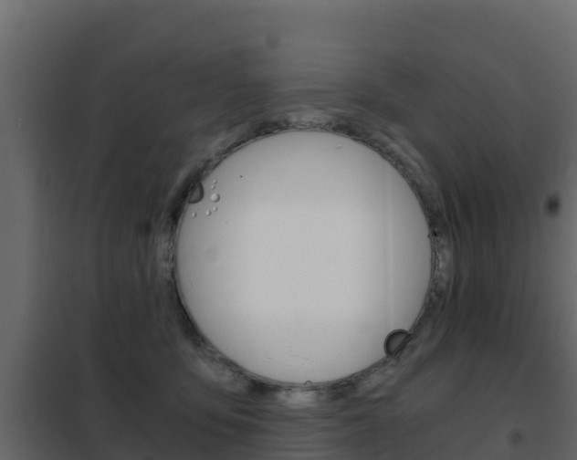 X0000102480419200808081037